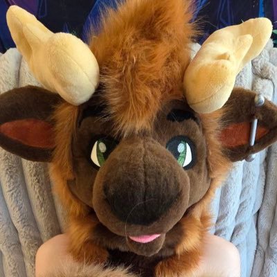 🔞 20 | Gay | Antlered twunk | DM friendly! Moots hmu 🙋♂️Ask for main