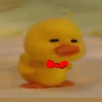Duck (@duckieduckey) 's Twitter Profile