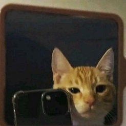 SoyWowi's profile picture. un streamer en decandencia