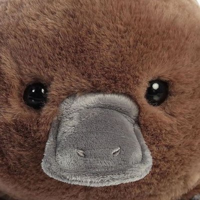 Tazman1an_Devil's profile picture. System
Ask 4 pronouns pls ^^
Proship dni pls