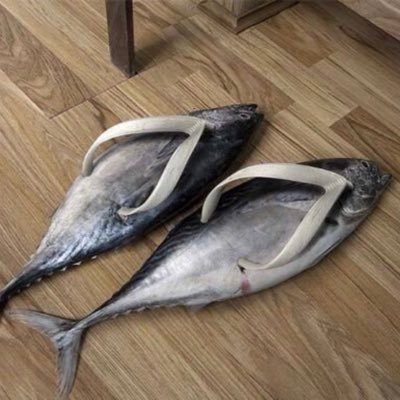 realoz117's profile picture. yo