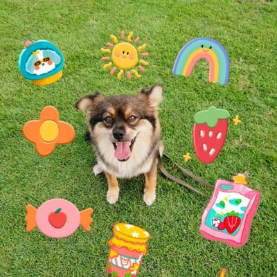 WangYibo761473's profile picture. Chu