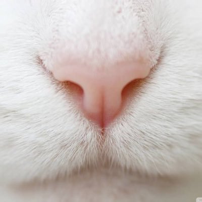 3eqe15's profile picture. PK学園サイキッカーズ