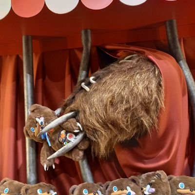 baobab2850's profile picture. 居場所なんか探さないで
自分の中に居場所を見つけて