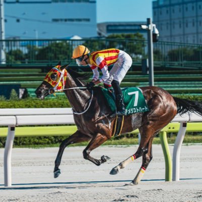 yuu_taka23's profile picture. 大井競馬で騎手してます🏇