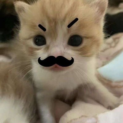 ebechip_11th9's profile picture. 