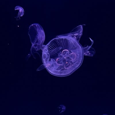 04g1f's profile picture. 