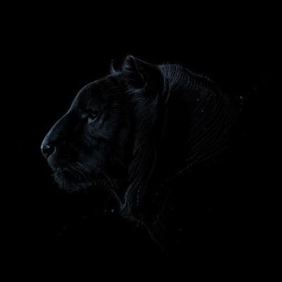 thegoodbahdboi's profile picture. Just like you, crypto+Betting pro... I spread more love than hatred #Chelsea #Ronaldo fan ✊🏽 !! 2-10 odds expert ✊ Still looking for 10k odds 💼