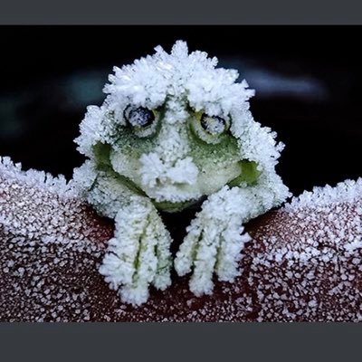 mag7427's profile picture. 