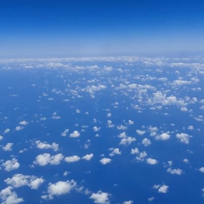 rayy_x23's profile picture. 