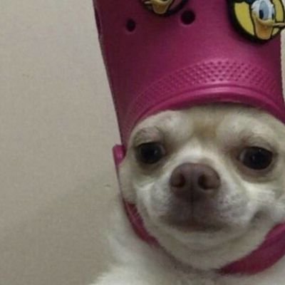 loopylad_1's profile picture. I reply for fun don't get mad ok?