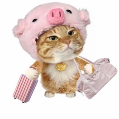 Tramaanh2108's profile picture. Thích gì đăng đó 😃