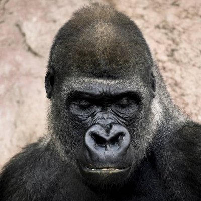 SKaremaRC's profile picture. Christian. Against injustice, socialism, decline of values & LGBTQA+- 
Retweets = endorsements