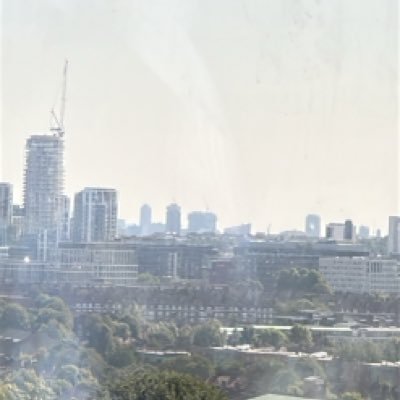 tavana64452's profile picture. 