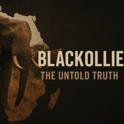Blackollie1's profile picture. BlackOllie is a platform dedicated to uncovering the lost truths of African heritage. through storytelling, history, culture, and the strength