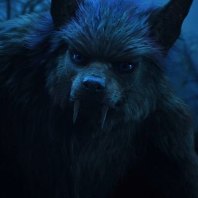 razordash's profile picture. degen crypto enthusiast $CLAYER $THX