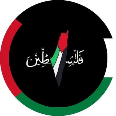 MoazSherif6169's profile picture. 