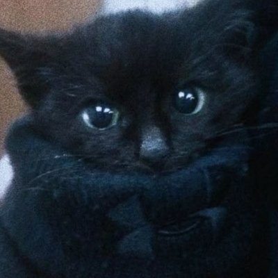 cherryhexvr's profile picture. sub || she/her || DMS open || cute outside, but very sinful inside ♡ NSFW | 18+ only || NO MINORS, blocked on sight.