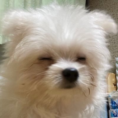 ato_80ji's profile picture. ヨルシカ ￤ずとまよ ￤98 ￤関西 ￤女 ￤9/7 神戸 盗作再演 🫶🏻歌うことが大好きです🫶🏻