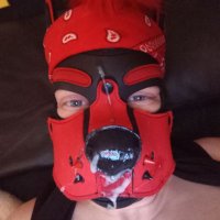 🇩🇪κıяı & ᶠᴸᵁᶠᶠʸ ᵀᴴᴱ кภ๏t๒เtςђ🇩🇪 (@welpekiri89) 's Twitter Profile Photo