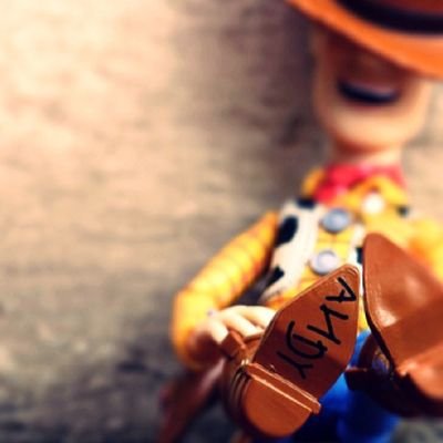 hoksipsam's profile picture. - If one day we have to part at least today we got to meet ( #LMSY ♥️ )