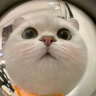 phcb396's profile picture. @plumenetwork