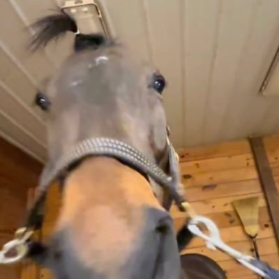 gameid__'s profile picture. 