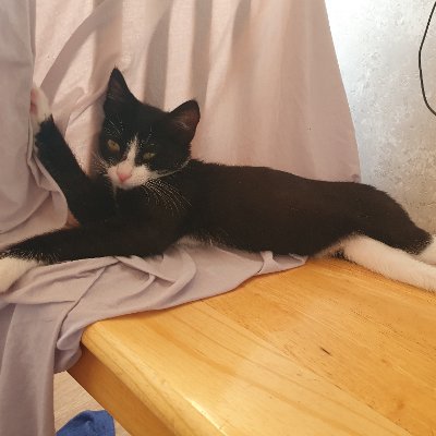 sneezy931's profile picture. 