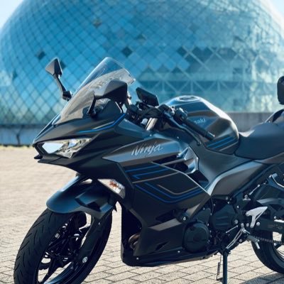 hirosaurusu's profile picture. 