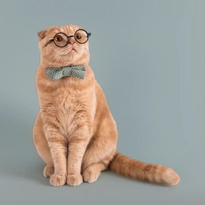 MichealOko11491's profile picture. Make Assets Liquid Again @tokenforge.

COMMUNITY MANAGER

/MODERATOR

/AMBASSADOR 

👇👇

DM FOR COLLABORATION