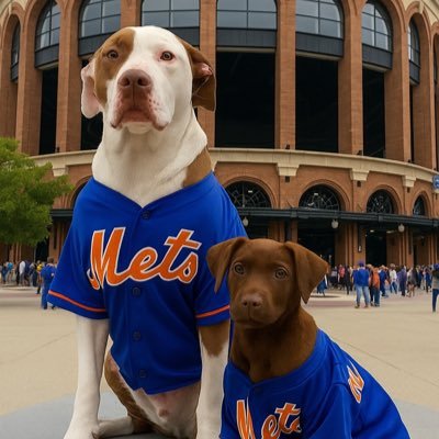 🇺🇸🇺🇸🇺🇸🇺🇸🇮🇹🇮🇹🇮🇹🇮🇹 💙💙💙 Rather dogs over humans Sorry not sorry….🐶🐕….. 🔫 🔫 🔫 🔫