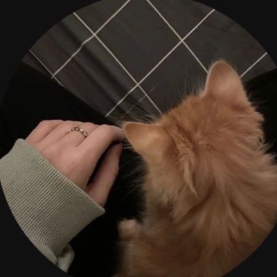 Lara_q89's profile picture. اللَّهُمَّ صَلِّ وَسَلِّمْ على نَبِيِّنَا مُحمَّد ﷺ🤍