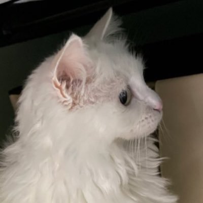 ner110309's profile picture. 똥싸는 공간