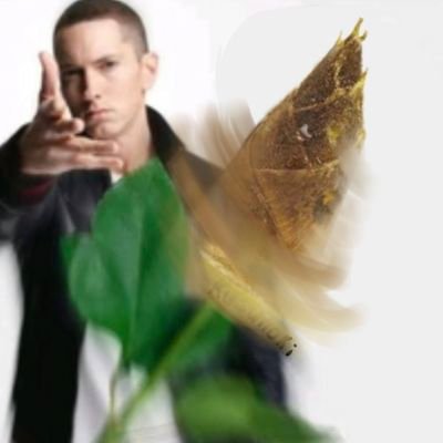 GuheheAikoka's profile picture. 