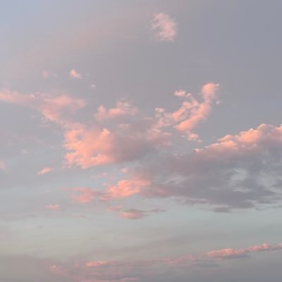 Cc__0___'s profile picture. のんびりおだやかに 🐈