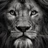 Aidy_D16's profile picture. Hard work works