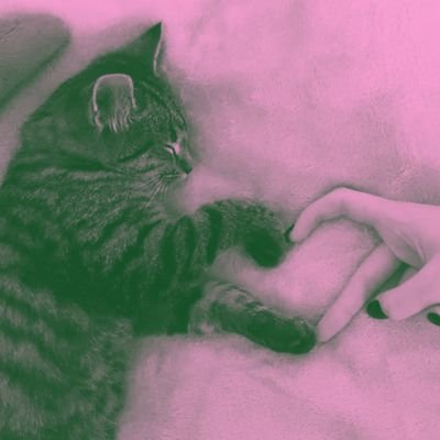 isa_rachh's profile picture. Don't you dare close your eyes.
A hundred thousand things to see