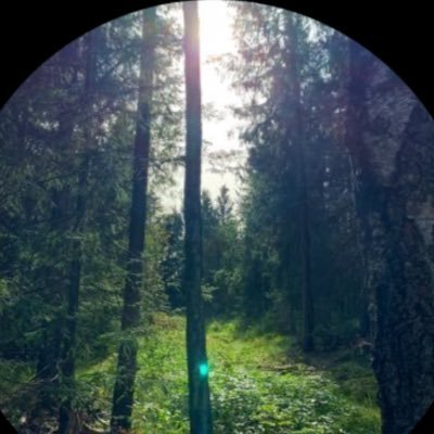 Mo911000's profile picture. 