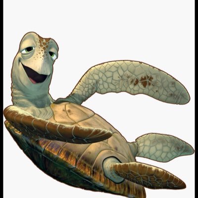 Just a Turtle trying to get Turnt 🐢🚀 on moon shot 🌙