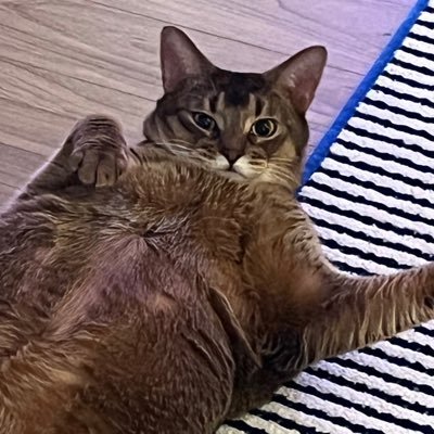 aitenleeu's profile picture. Work Hard love #TENLEE Harder ⸜(｡˃ ᵕ ˂ )⸝♡