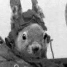 I love my country, and we're taking it back! Enoch Powell was right. 🐿️
No DMs or chat groups please https://t.co/q9XXlQrInz