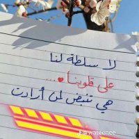 ๐ธ๐ธ (@sirajeldin11) 's Twitter Profile