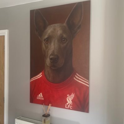 At The End Of The Storm. In another Life I Would Make You Stay. Pirate by night Ninja by day. Born under a Liverbird. REDTILDEAD