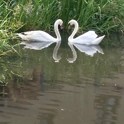 Jay88788997636's profile picture. 