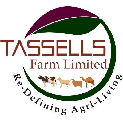 tassellsfarmltd's profile picture. Tassells Farm Limited works towards the future of Africa’s dairy value chain, sustainable, inclusivity, and globally competitive