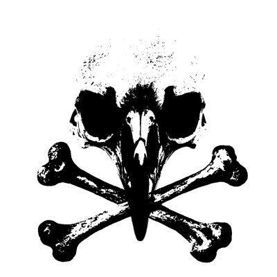 Witecroww's profile picture. IRELAND LNT