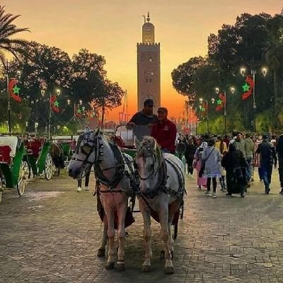 mokh320's profile picture. 