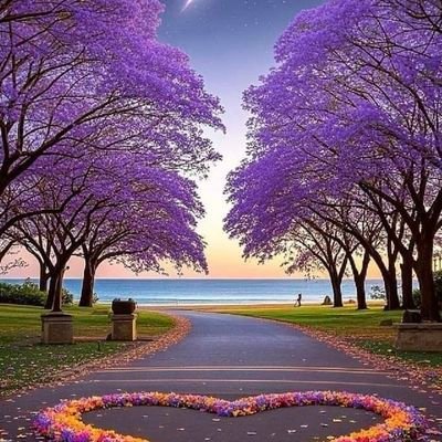 فكر بالأشياء الجميلة التي تُمكنكَ من الحياة، التنفس، التأمل، الأستمتاع والحُب🧡.