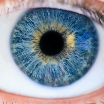 IrisAzul828415's profile picture. Ingeniero de profesión, enólogo por vocación, escéptico por religión, y como Chuchill, tampoco me fío de las estadísticas que no haya manipulado yo previamente.