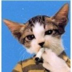 ねこ八郎さんのプロフィール画像